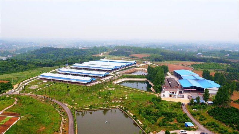 河南农资批发基地与零售店：有何不同？**