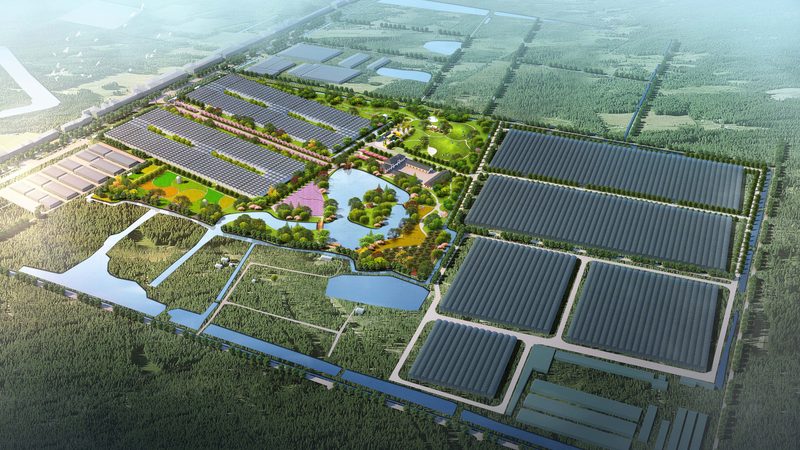 智慧农业解决方案：构建未来农业的基石