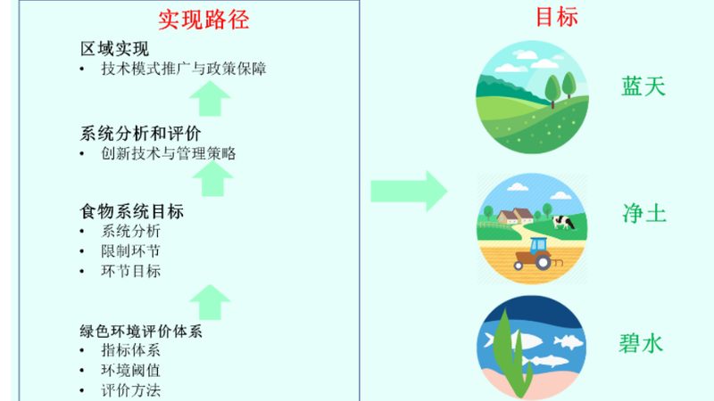 农业种植技术咨询公司排名：揭秘行业实力与选择标准