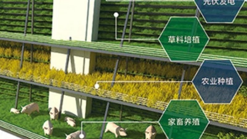 社区果蔬配送团队组建关键要素**