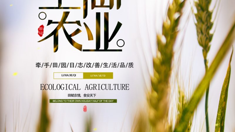 大棚蔬菜种植技术培训课程：提升种植效率的关键**