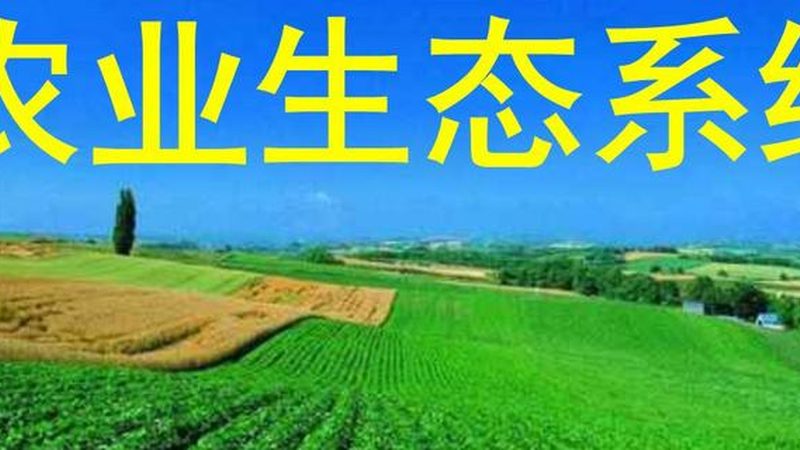 温室土壤湿度控制参数标准解析