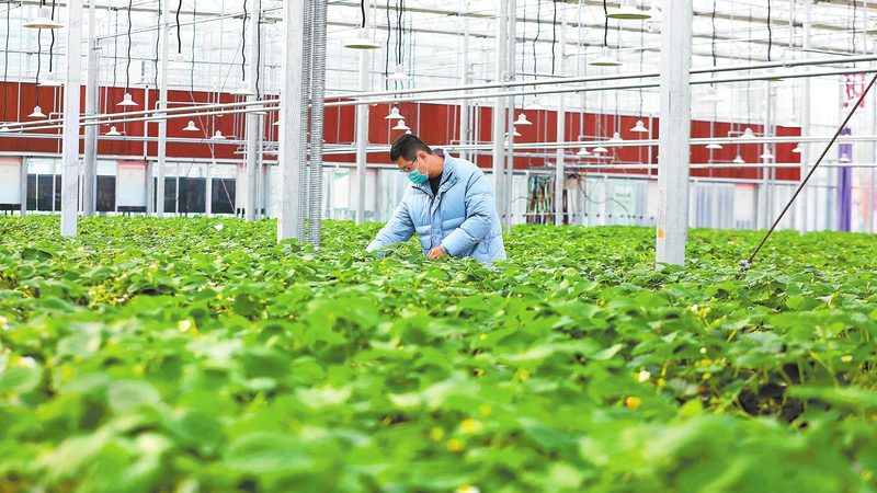 农业种植技术培训课程推荐