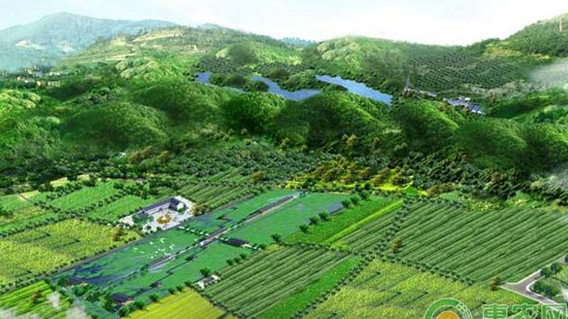 生态农业示范基地建设：标准解读与实施要点**