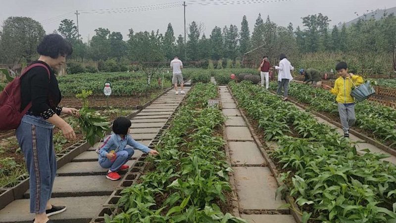 绿色食品续展价格主要由以下几个部分构成：