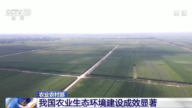 四川农产品深加工设备：从手工作坊到智能产线的跃迁
