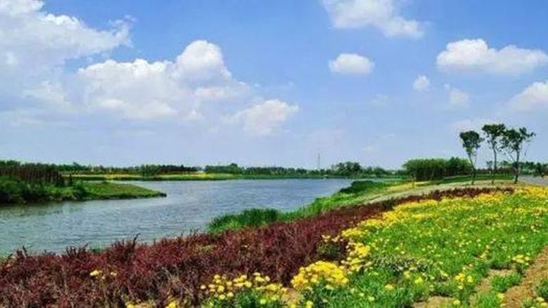家庭农场补贴政策对比