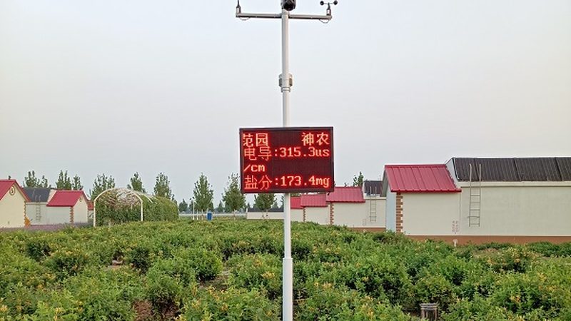 屋顶农业种植技术培训：揭秘高效利用空间的新兴农业模式