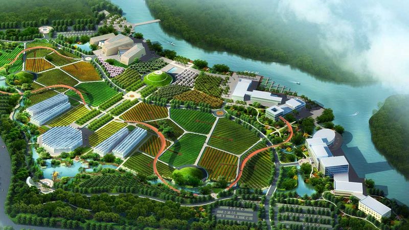 种植培训实战班：提升农业技术，助力丰收之道