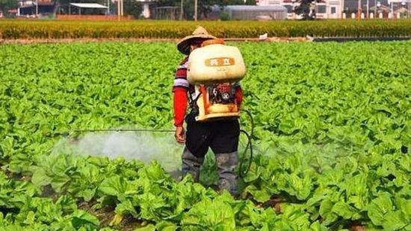 生态农业加盟，技术培训费如何衡量价值？**